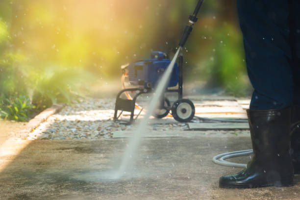 Best Solar Panel Cleaning  in Warren, IL